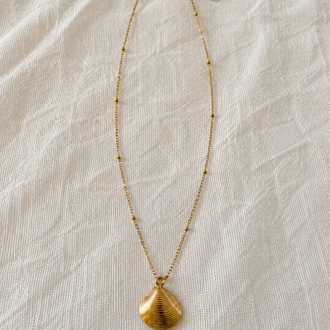 Le Collier Palourde